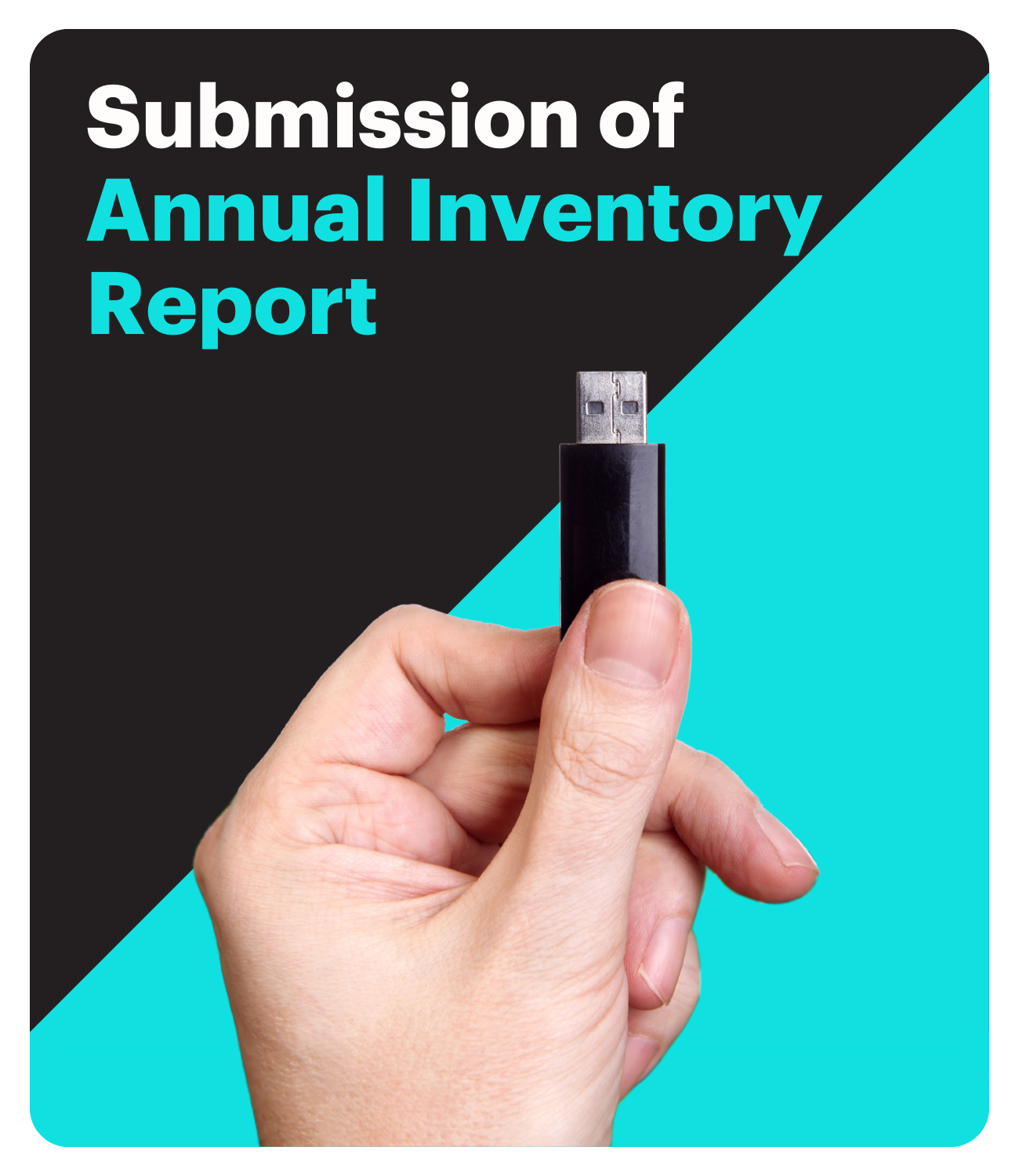 Submission of Annual Inventory Report