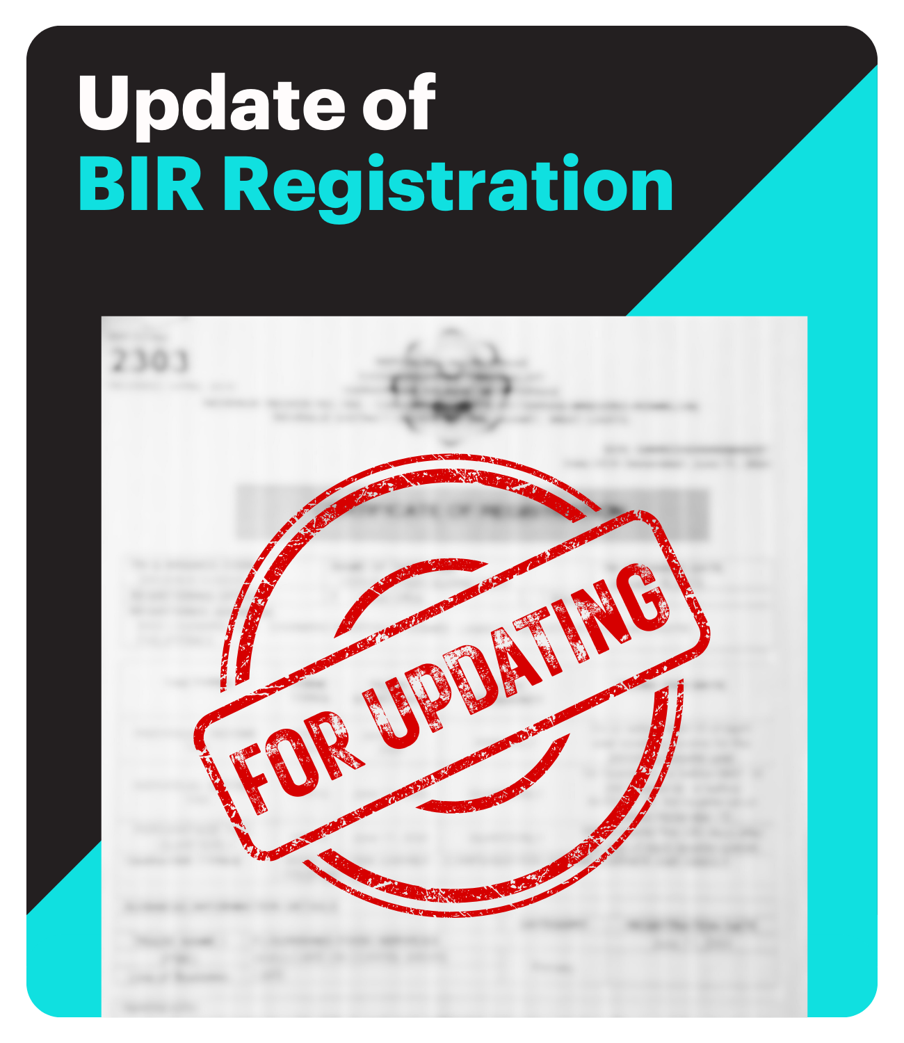 Update of BIR Registration (General Update)