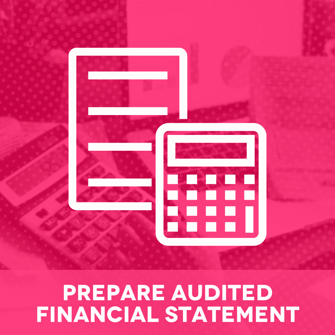 Preparation of Audited Financial Statement (Individual)